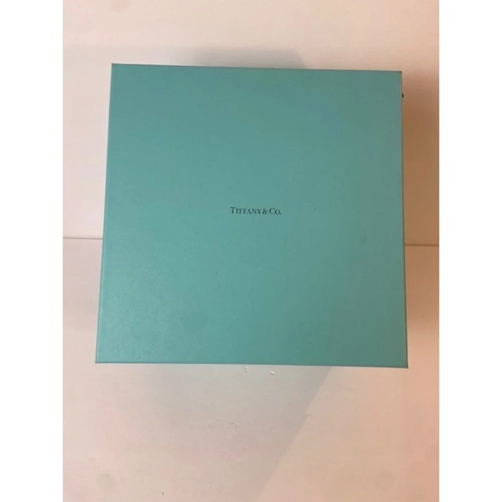 Tiffany & Co Large Square Blue Gift Box Storage Display 10x10x6.5 Inch